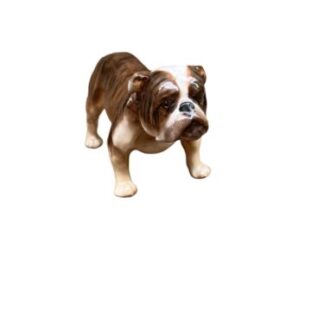 Dog Ceramic  England   Royal Doulton Cane Ceramica