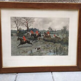 Stampa Antica Inglese  1900  Painted By G.D. Rowlandson Antique Printing HORSE