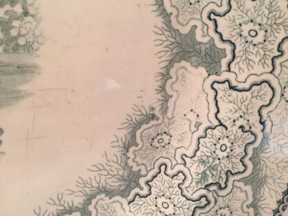 PIATTO  IN CERAMICA METÀ '800 INGLESE  ENGLISH CERAMIC PLATE DISH ANTIQUE 1850 - immagine 6